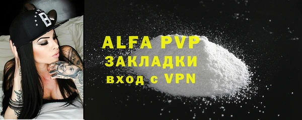 стаф Алексин