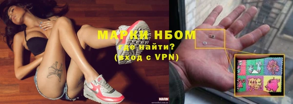 стаф Алексин